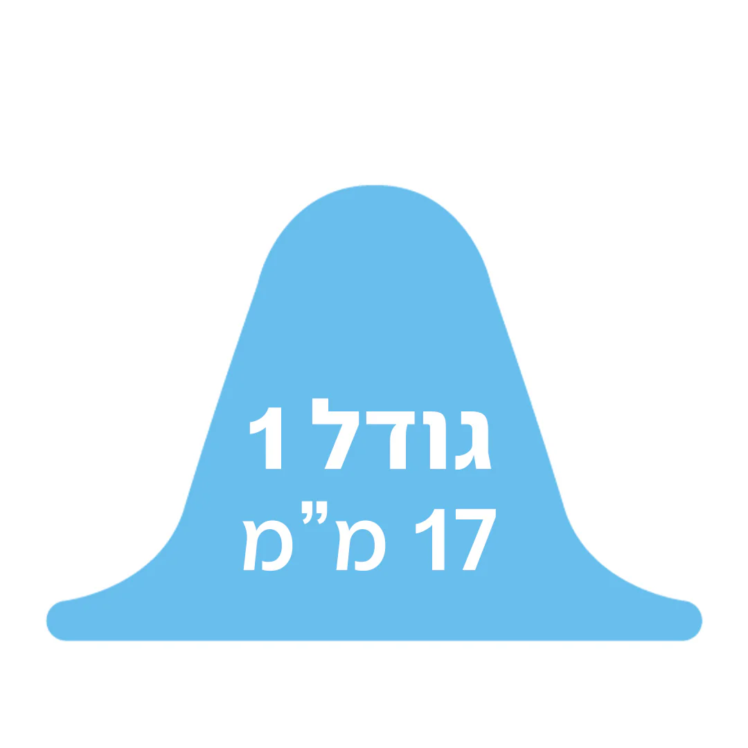 תמונת מוצר 2