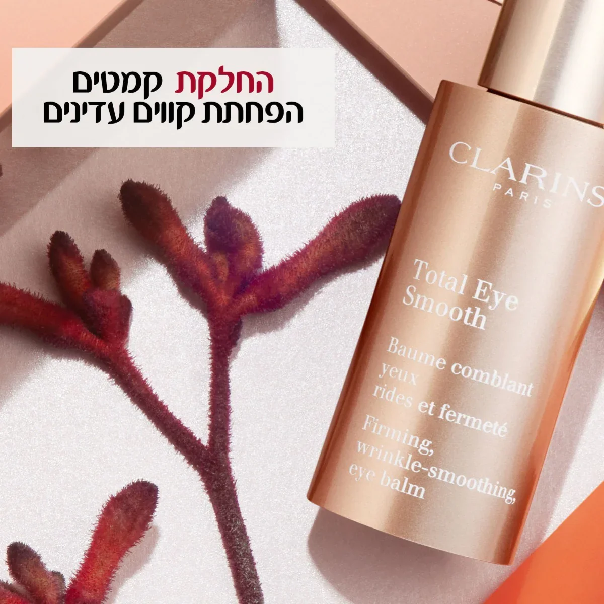 תמונת מוצר 4
