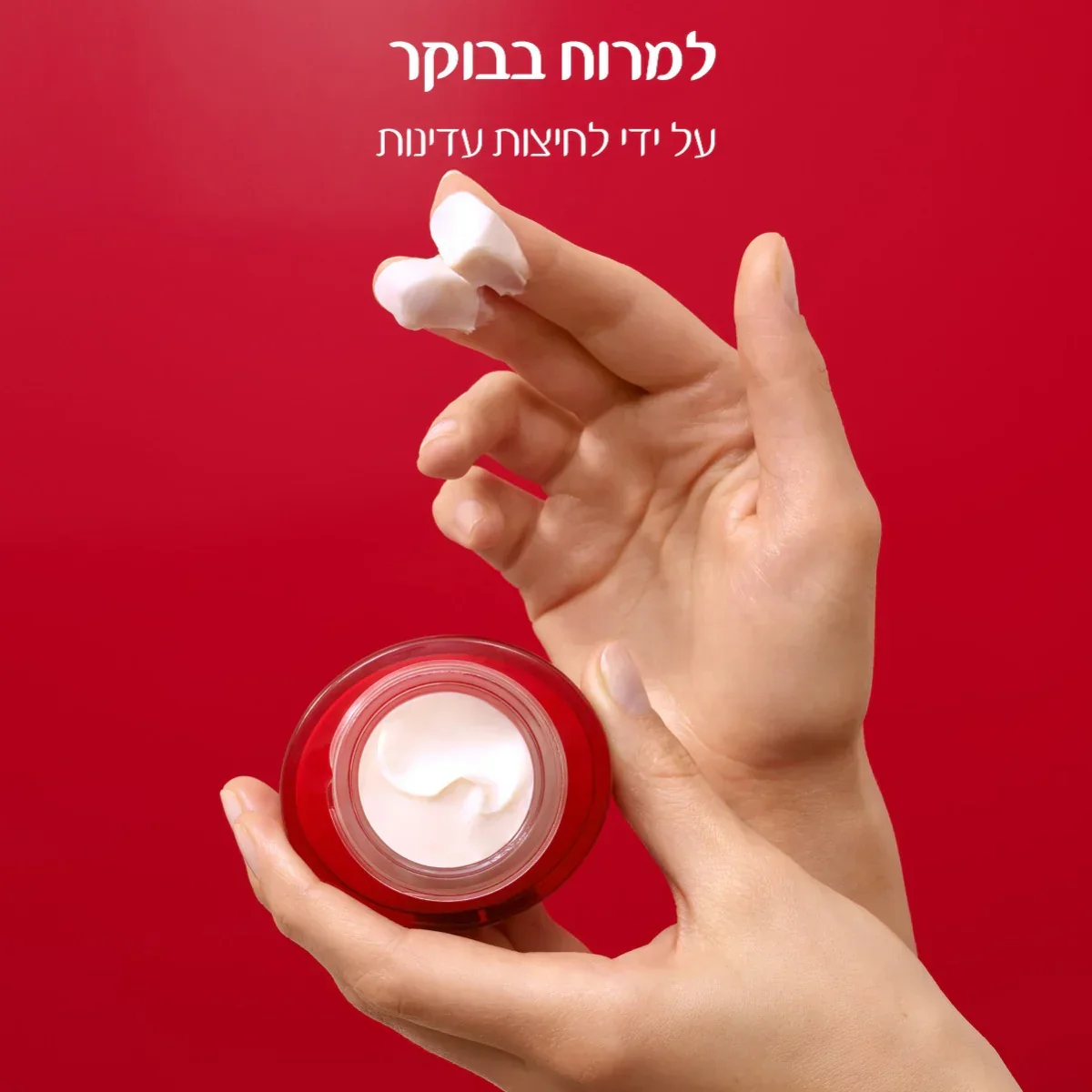 תמונת מוצר 4