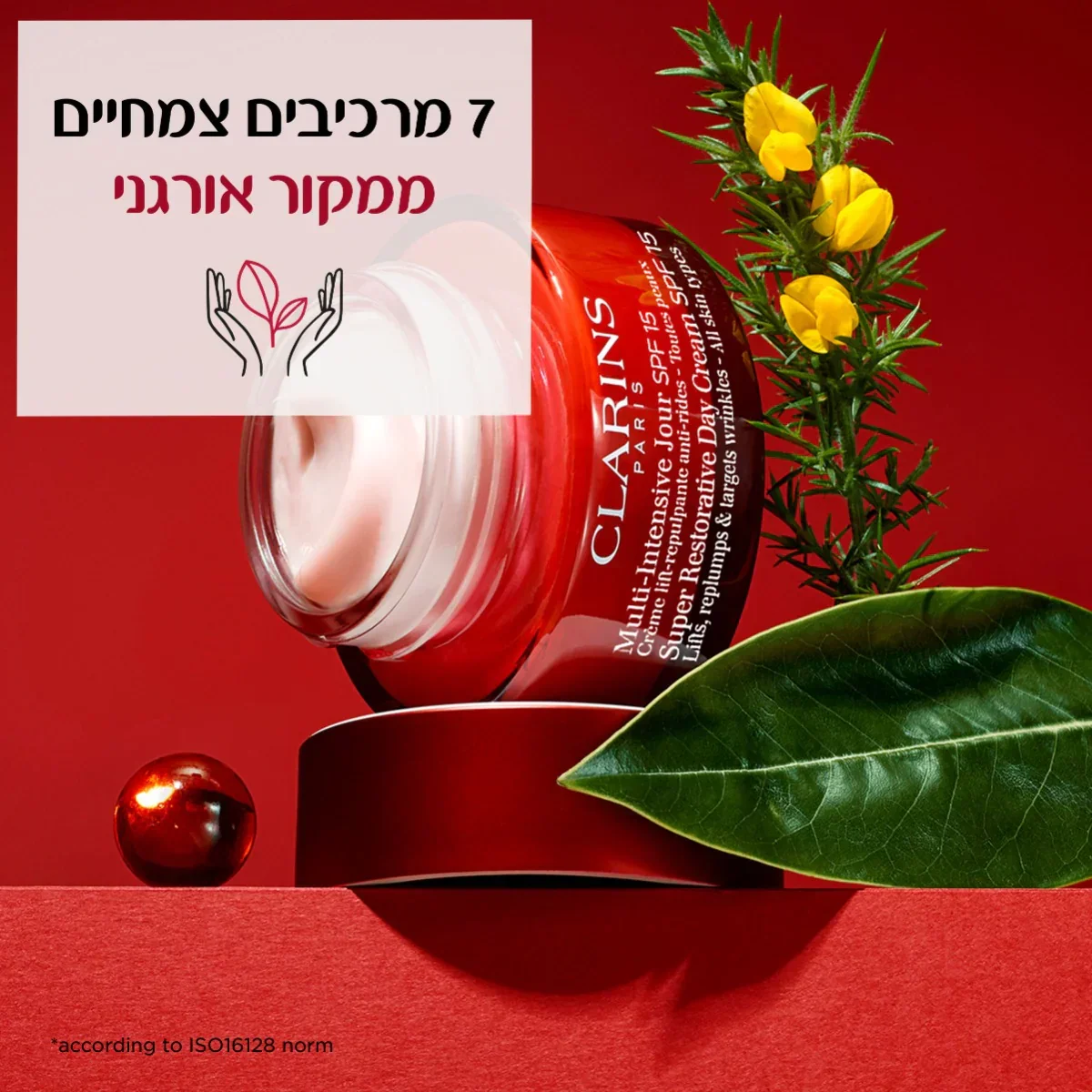 תמונת מוצר 5