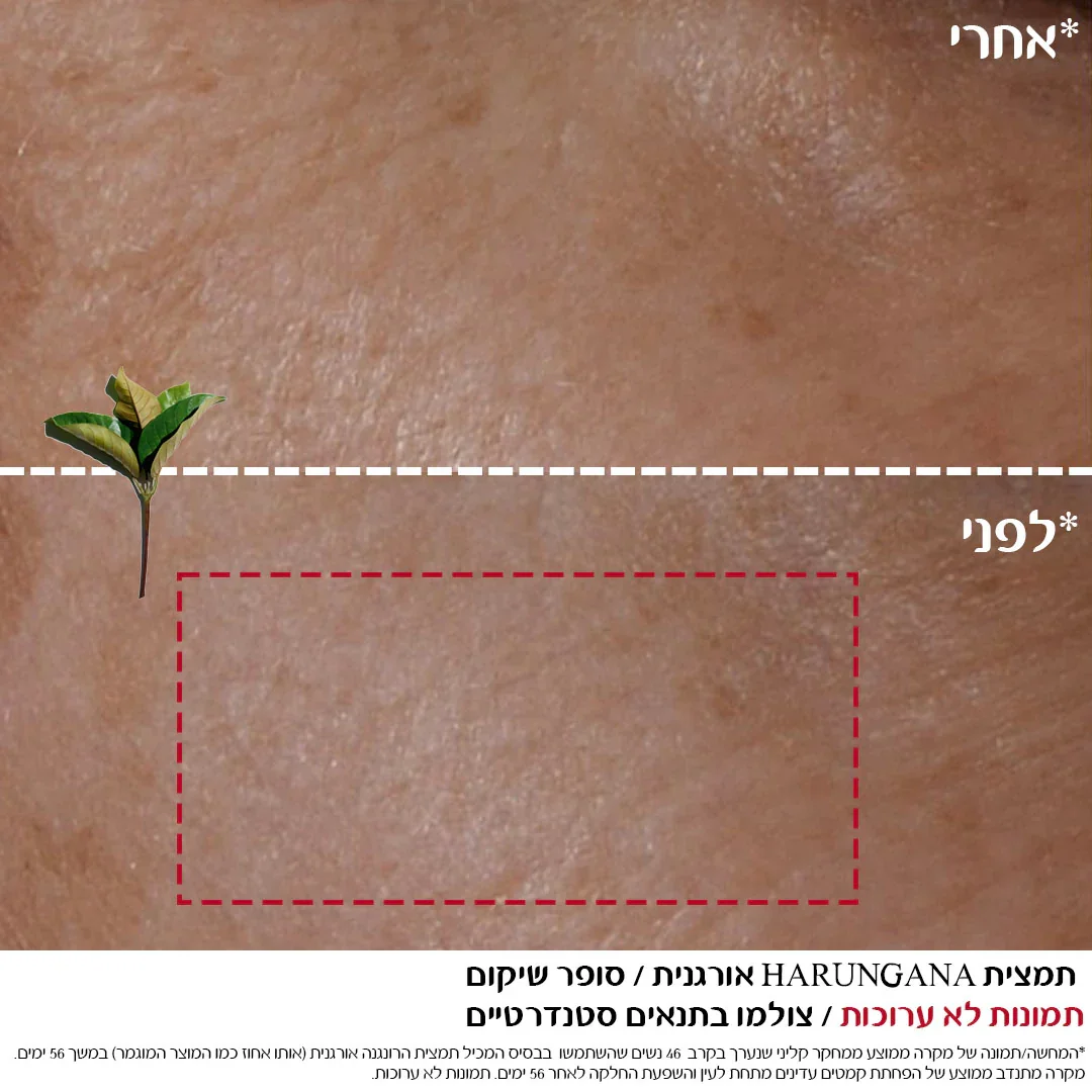 תמונת מוצר 8