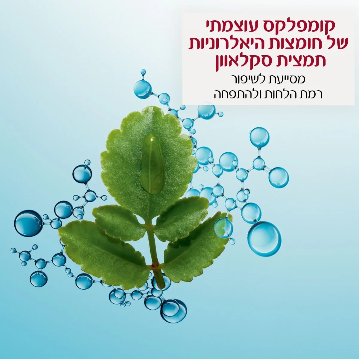 תמונת מוצר 3