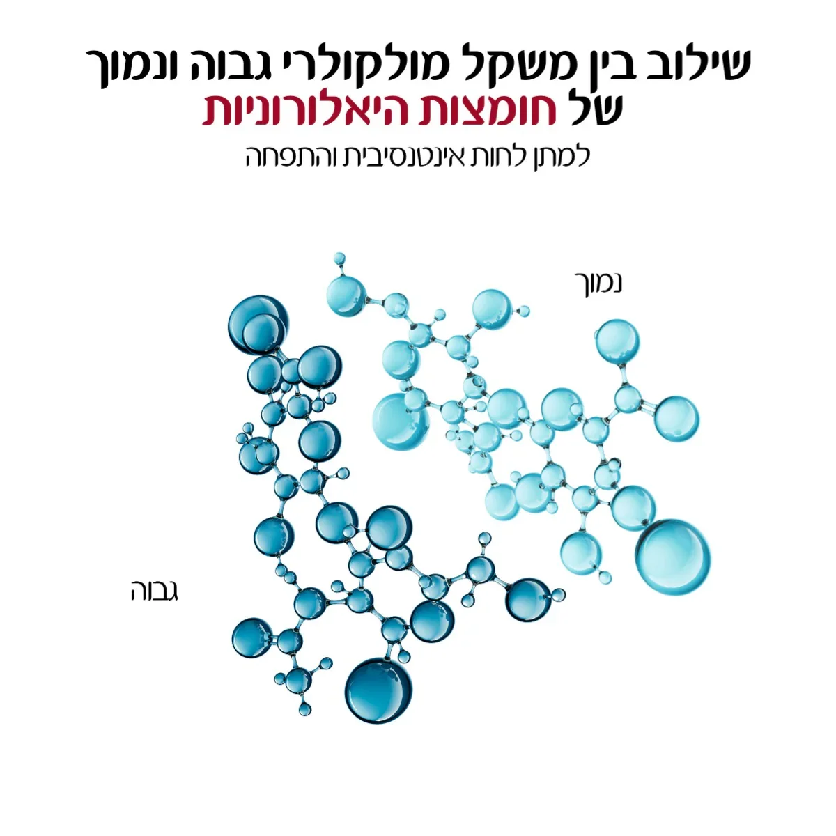 תמונת מוצר 7