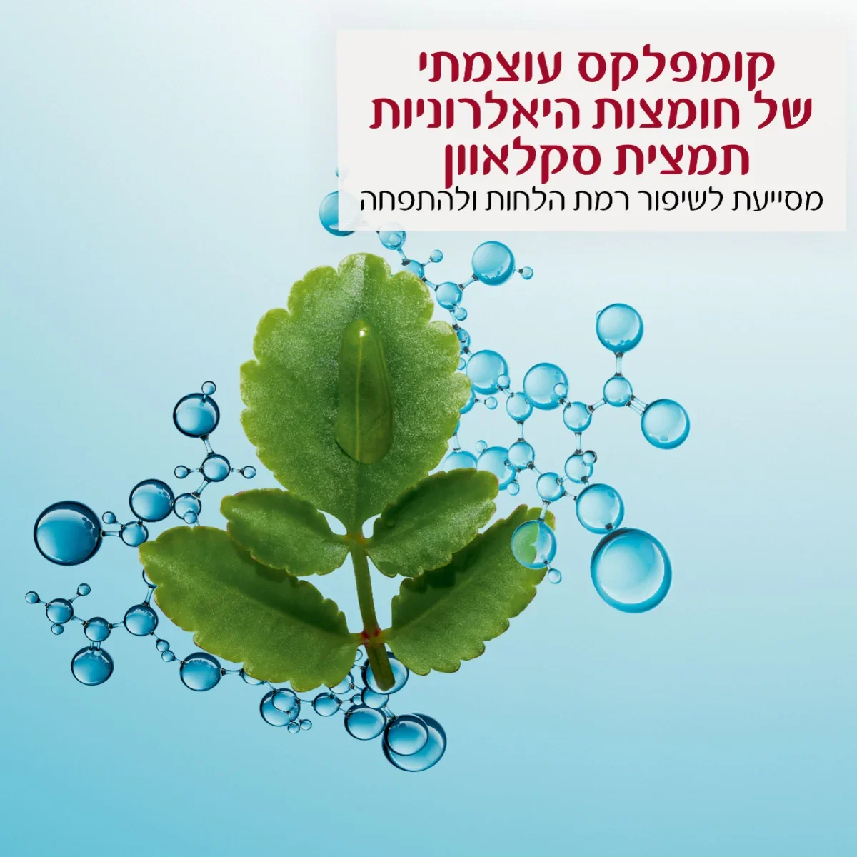 תמונת מוצר 3