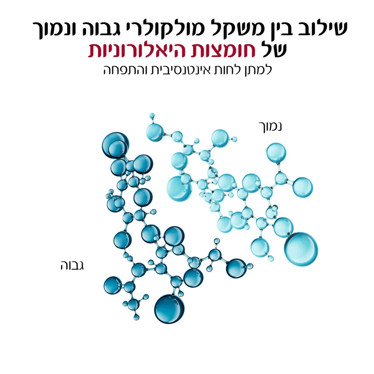 תמונת מוצר 9